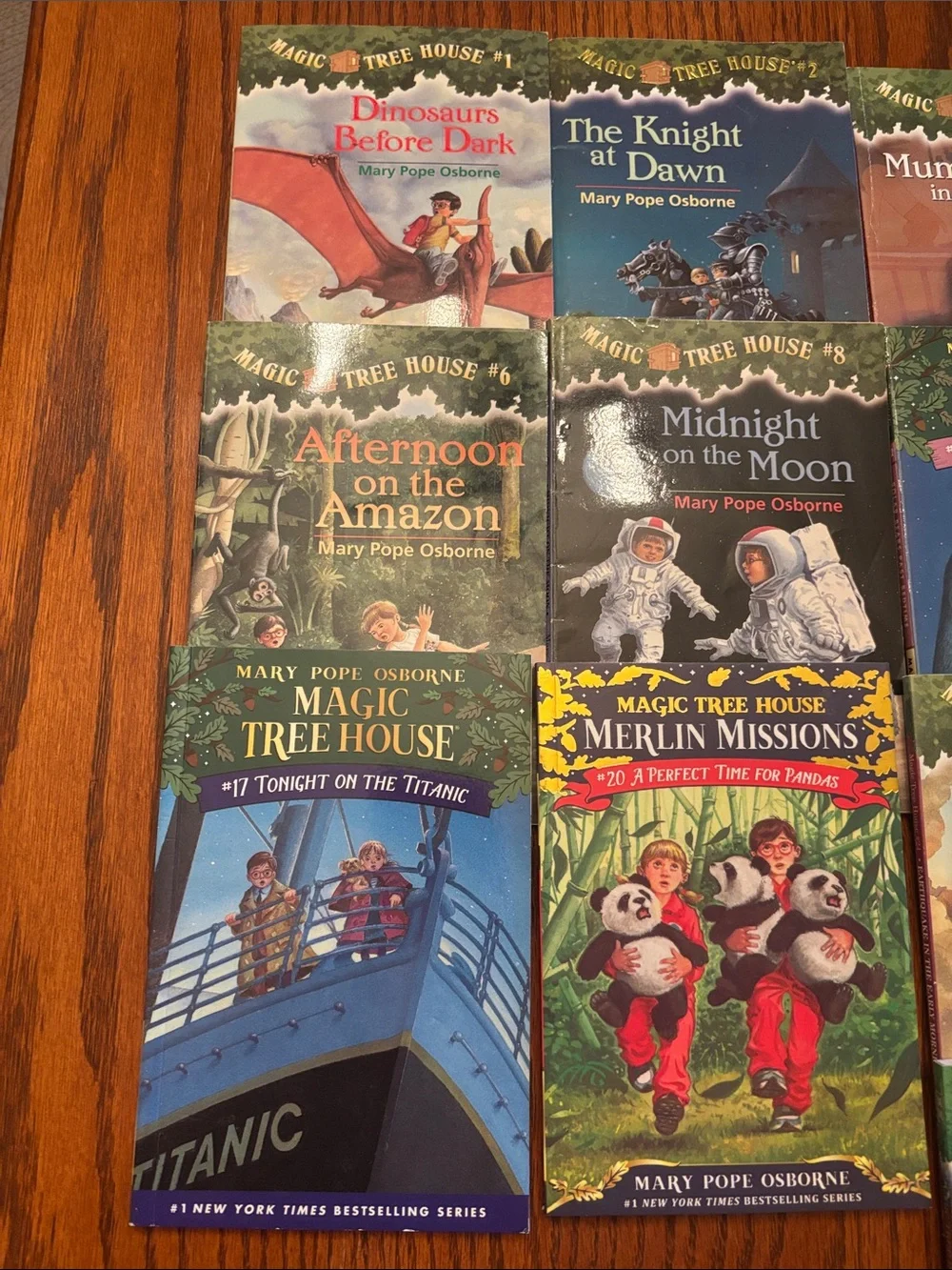 Magic Treehouse Novels (lot of 17)